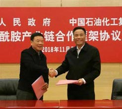 定了！湖南省与中国石化签署《关于中国石化巴陵石化公司己内酰胺产业链搬迁与升级转型发展合作框架协议》